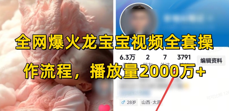 全网爆火龙宝宝视频全套操作流程，播放量2000万+-湘创网