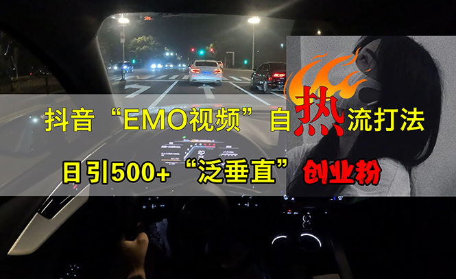 （13029期）抖音EMO视频自热打法，日引500+“泛垂直”创业粉-湘创网