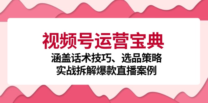 视频号运营宝典：涵盖话术技巧、选品策略、实战拆解爆款直播案例-湘创网