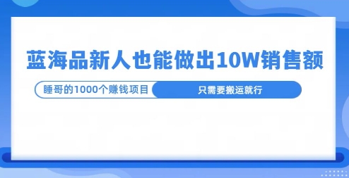 这个蓝海品，新号也能卖出10W的销售额，年底疯狂怼量就能出结果-湘创网