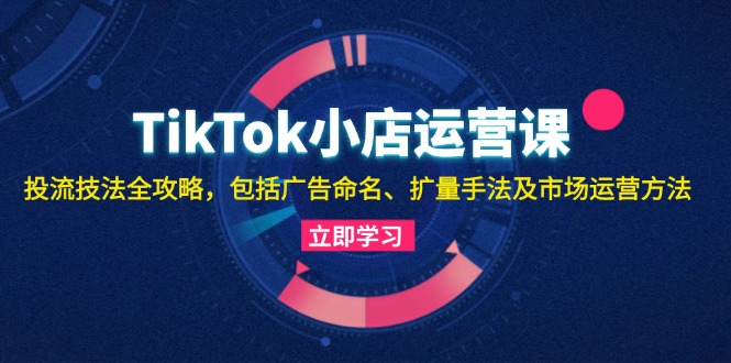 （13063期）TikTok小店运营课：投流技法全攻略，包括广告命名 扩量手法及市场运营方法-湘创网