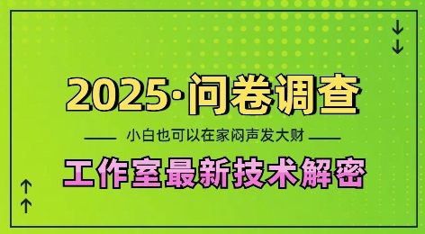 2025问卷调查最新工作室技术解密：一个人在家也可以闷声发大财，小白一天2张，可矩阵放大【揭秘】-湘创网