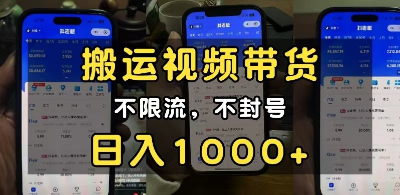 小白必看搬运视频带货玩法，不限流，不封号，纯自然流，日入1000+-湘创网