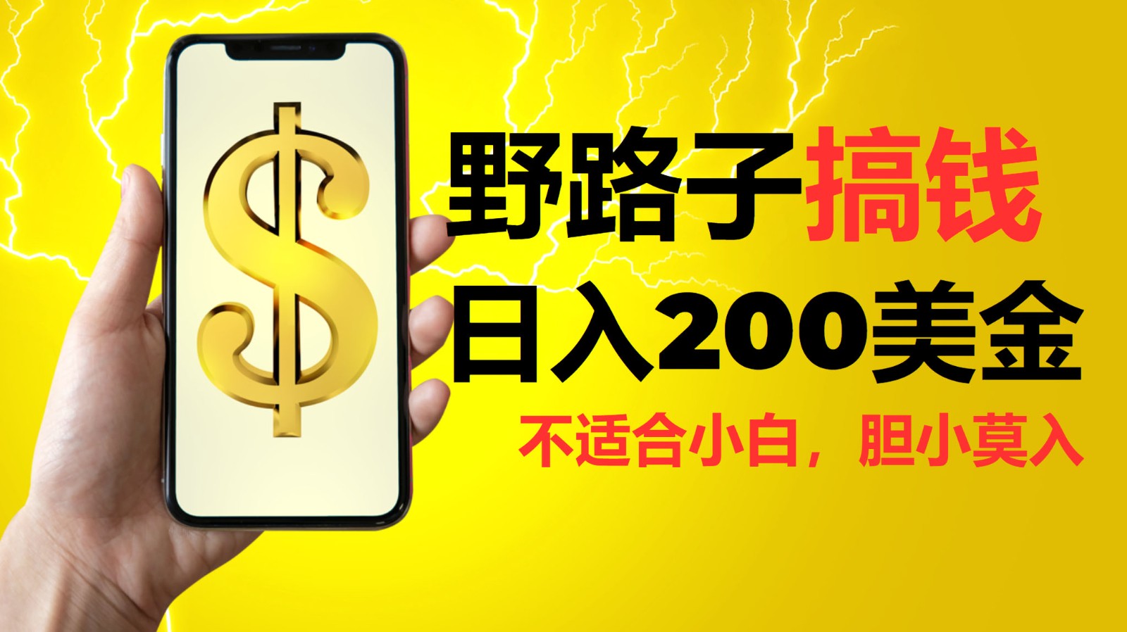 挂机野路子搞钱，日入200美金，路子很野，小白莫入-湘创网