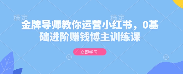 金牌导师教你运营小红书，0基础进阶赚钱博主训练课-湘创网