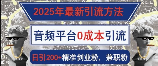 2025年最新引流方法，音频平台0成本引流，日引200+精准创业粉-湘创网