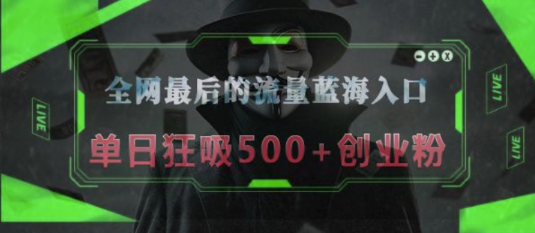 全网最后的流量蓝海入口，半小时引流50+创业粉，单日狂吸500+创业粉-湘创网