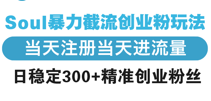 （13935期）Soul暴力截流创业粉玩法，当天注册当天进流量，日稳定300+精准创业粉丝-湘创网