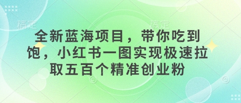 全新蓝海项目，带你吃到饱，小红书一图实现极速拉取五百个精准创业粉-湘创网