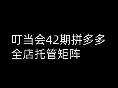 叮当会拼多多打爆班原创高阶技术第42期，拼多多全店托管矩阵-湘创网