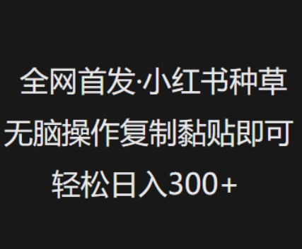 全网首发，小红书种草无脑操作，复制黏贴即可，轻松日入3张-湘创网