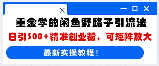 重金学的闲鱼野路子引流法，日引300+精准创业粉，可矩阵放大-湘创网