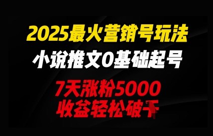 2025最火营销号玩法：小说推文0基础起号，7天涨粉5000，收益轻松破k-湘创网