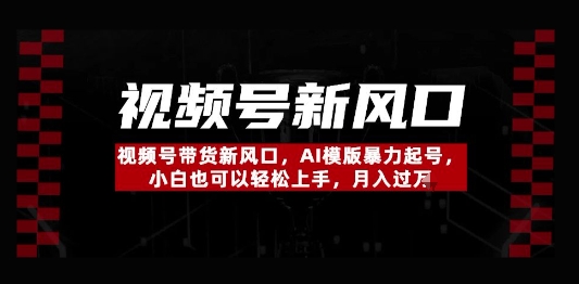 视频号带货新风口，AI模版暴力起号，小白也可以轻松上手，月入过W-湘创网