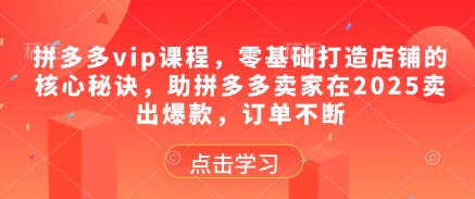拼多多vip课程，零基础打造店铺的核心秘诀，助拼多多卖家在2025卖出爆款，订单不断-湘创网