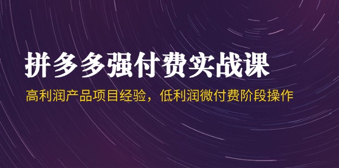 （14874期）拼多多强付费实战课-44期，高利润产品项目经验，低利润微付费阶段操作-湘创网