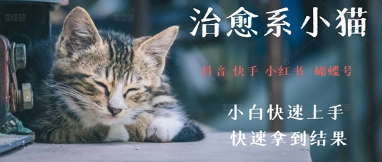 拆解，疯狂火爆！抖音，小红书，视频号小猫治愈的视频，轻松制作+快速拿到结果-湘创网