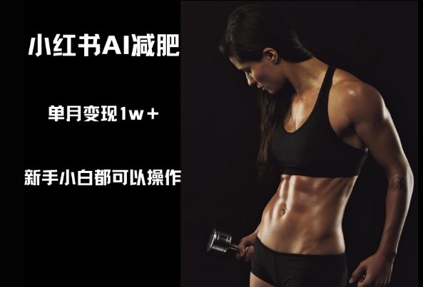 小红书AI减肥，新手小白都可以操作，单月变现1w+-湘创网