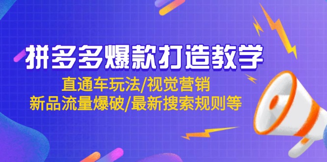 （14681期）拼多多爆款打造教学：直通车玩法/视觉营销/新品流量爆破/最新搜索规则等-湘创网