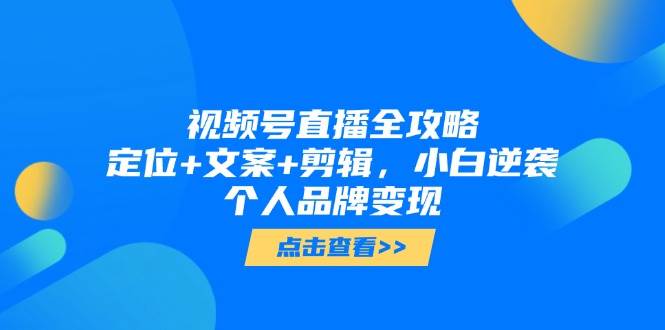 视频号直播全攻略，定位+文案+剪辑，小白逆袭个人品牌变现-湘创网