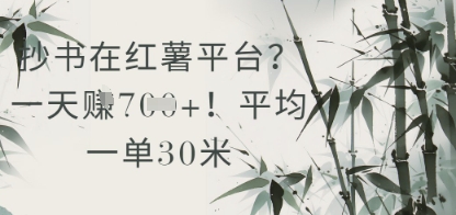 抄书在小红薯平台？平均一单30米，一天收益几张！-湘创网