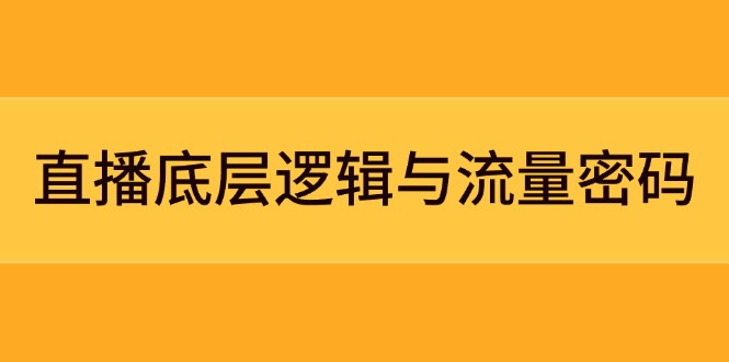 （14695期）直播底层逻辑与流量密码：定位模型+案例拆解，急速流承接与数据优化全攻略-湘创网