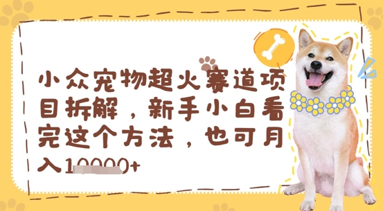 小众宠物超火赛道项目拆解，新手小白看完这个方法，也可月入过w-湘创网