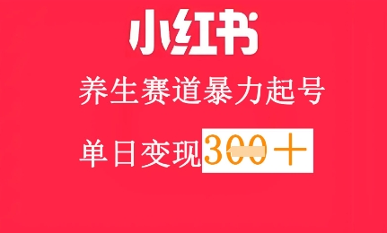 小红书养生赛道，暴力起号，轻松日入3张+-湘创网