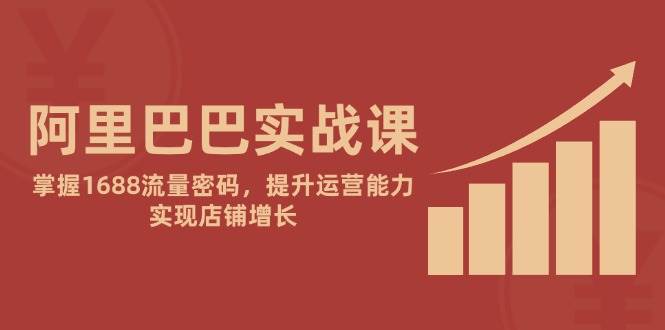 阿里巴巴实战课：掌握1688流量密码，提升运营能力，实现店铺增长-湘创网
