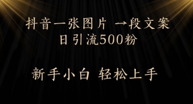 每天2分钟，抖音一张图片 一段文案日引流500粉-湘创网