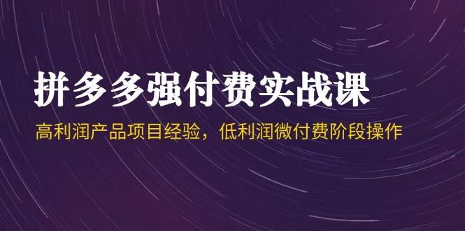 拼多多强付费实战课-44期，高利润产品项目经验，低利润微付费阶段操作-湘创网