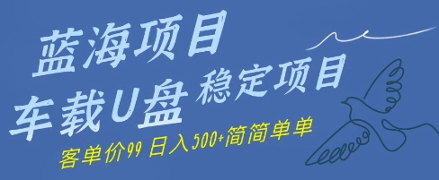 蓝海项目车载U盘稳定项目，挣的就是信息差，客单价99，日入几张简简单单-湘创网
