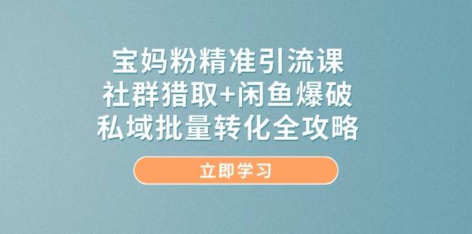 宝妈粉精准引流课，社群猎取+闲鱼爆破，私域批量转化全攻略-湘创网