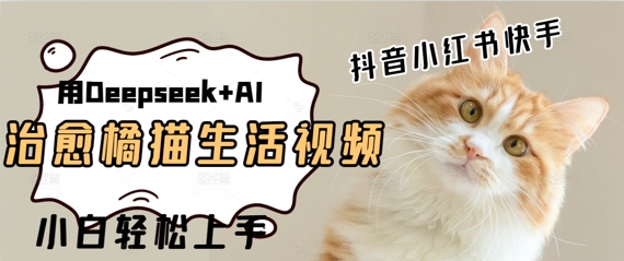 疯狂火爆，用Deepseek+AI做治愈橘猫系列视频，小白轻松制作+快速拿到结果-湘创网