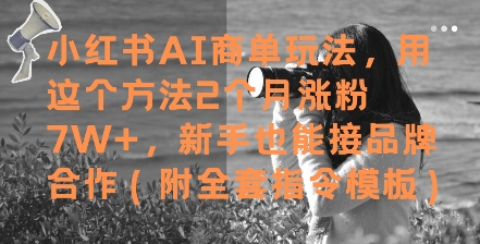 小红书AI商单玩法，用这个方法2个月涨粉7W+，新手也能接品牌合作(附全套指令模板)-湘创网