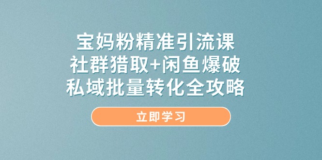 （14820期）宝妈粉精准引流课，社群猎取+闲鱼爆破，私域批量转化全攻略-湘创网