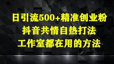 日引流500+精准创业粉，抖音共情自热打法，工作室都在用的方法-湘创网