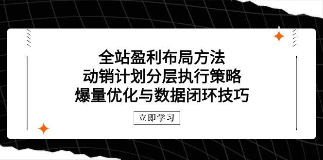 全站盈利布局方法：动销计划分层执行策略，爆量优化与数据闭环技巧-湘创网