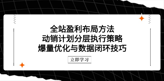 （14698期）全站盈利布局方法：动销计划分层执行策略，爆量优化与数据闭环技巧-湘创网