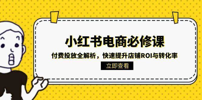 小红书电商必修课：付费投放全解析，快速提升店铺ROI与转化率-湘创网