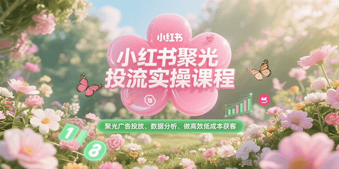 小红书聚光投流实操课程，聚光广告投放、数据分析、做高效低成本获客-湘创网
