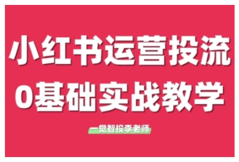 小红书运营投流，小红书广告投放从0到1的实战课，学完即可开始投放（更新）-湘创网