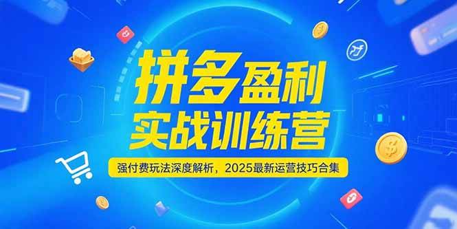 拼多多盈利实战训练营，强付费玩法深度解析，2025最新运营技巧合集-湘创网