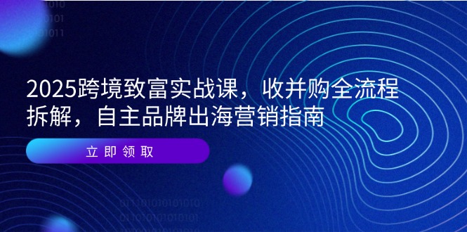 （14975期）2025跨境致富实战课，收并购全流程拆解，自主品牌出海营销指南-湘创网