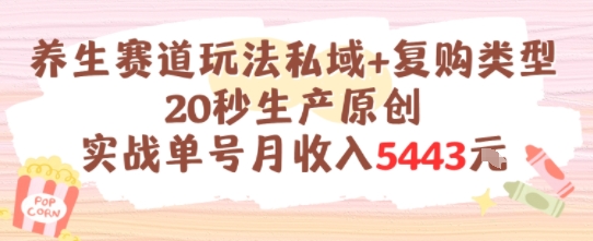养生赛道玩法私域+复购类型，20秒生产原创实战单号月收入5k+-湘创网