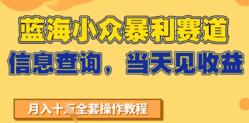蓝海小众暴利赛道，信息查询，当天见收益，不讲玄学，7天搞了2W+-湘创网