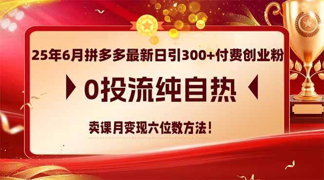 （14989期）25年6月拼多多最新日引300+付费创业粉，0投流纯自热 卖课月变现六位数方法-湘创网