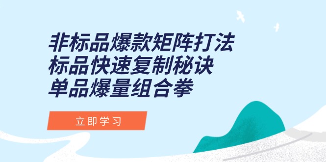 （15068期）非标品爆款矩阵打法，标品快速复制秘诀，单品爆量组合拳-湘创网