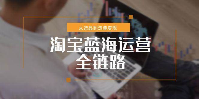 淘宝蓝海运营全链路，从选品到流量变现，小类目突围完整方案-湘创网