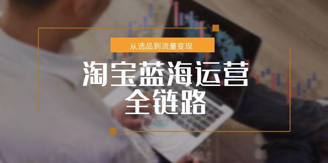（15160期）淘宝蓝海运营全链路，从选品到流量变现，小类目突围完整方案-湘创网